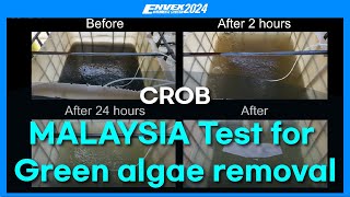 MALAYSIA CROB test for green algae removal  CROBENVEX2024 [upl. by Cooley]