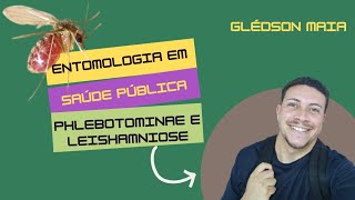 Entomologia em Saúde Pública  Phlebotominae e Leishmaniose [upl. by Troxell848]