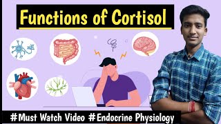 Cortisol Glucocorticoids  Endocrine Physiology LecturesMBBS Ashish [upl. by Ahpla597]