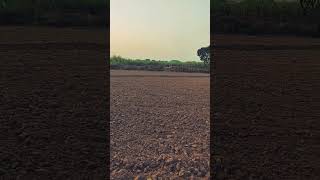 Khetibadi 🌾🌿 youtubeshorts kishan shorts trending explore khetibadi farming [upl. by Winsor]