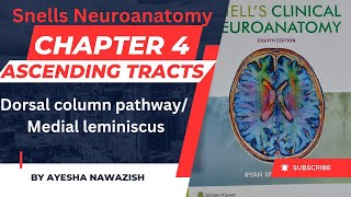 Medial leminiscus I Dorsal column pathway  Chapter 4  Snells Neuroanatomy [upl. by Donavon820]