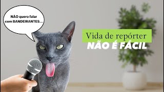 Vida de repórter não é fácil 🤣 gatos gatosengraçados gatofalante gatoquefala trigatos [upl. by Alocin382]