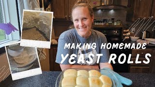 Making Homemade Yeast Rolls from Scratch [upl. by Genaro]