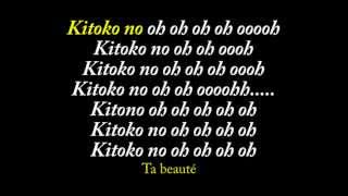 Fally Ipupa Kitoko ft Youssoupha Paroles Lyrics  Traductions [upl. by Melac]