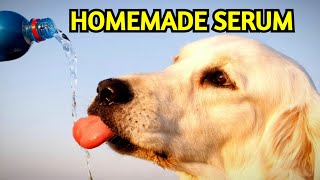 Homemade Serum Recipe for Dogs [upl. by Alviani]