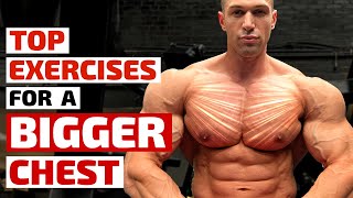 Top Trainers Agree These Are the Best Exercises for Building a Bigger Chest [upl. by Leora]