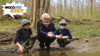 Waldschule mit Opa  ein Spaziergang durch den Elm [upl. by Airetnohs]