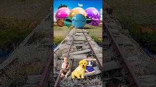 Golden Cute Dog amp baby vs All colors Pacman amp train driver tom… [upl. by Hurless]