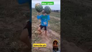 Big watermelon music remix ringtone instrumental bgm 2024 funny fruitdishes food fruitfood [upl. by Restivo]