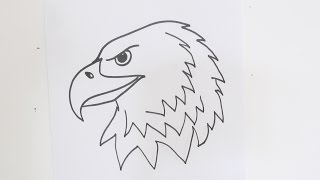 How to Draw an Eagles Head [upl. by Pacien733]