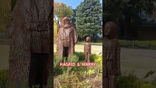 HAGRID amp HARRY POTTRT STATUES [upl. by Layman]