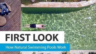 How natural swimming pools work – CHOICE [upl. by Haymo877]