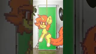 animation ponytown [upl. by Atiraj]