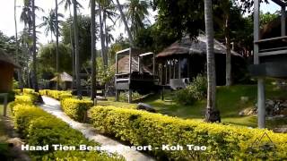 Haad Tien Beach Resort  Koh Tao  Thian Og Bay   Thailand [upl. by Garvy]