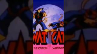 SWAT KATZ THE RADICAL SQUADRON Opening Theme Song [upl. by Decato]