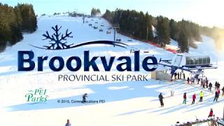 Brookvale Provincial Ski Park [upl. by Flossi]