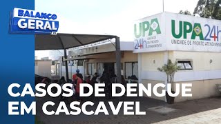 Cascavel tem 10525 mil casos confirmados de dengue e quatro mortes 8 estão em investigação [upl. by Samale518]