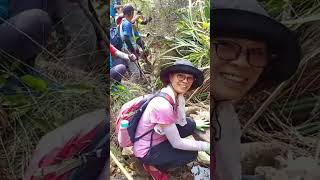 恆康行山隊1142024白水嶺南坑白虎谷沖溝坑南坑排石澗 Healthy HikerStreams flow down from White Water Mountain HK [upl. by Aneda]