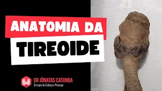 Anatomia da tireoide  Laboratório de Anatomia humana peça cadavérica [upl. by Elocon]