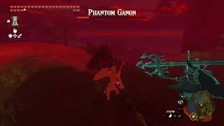 Another Phantom Ganon fight [upl. by Anoblav]