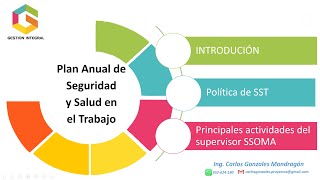 Plan de Seguridad y Salud en el Trabajo en el marco de la Ley N° 29783 PASST [upl. by Nilde949]