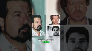 What made the Cali Cartel so powerful facts history netflix [upl. by Allare982]