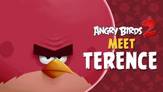 Angry Birds Toons  Gardening with Terence  S1 Ep13 [upl. by Luna]