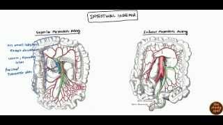 Mesenteric Ischemia Ischemia Bowel and Colonic Ischemia for USMLE Step 2 [upl. by Riti131]