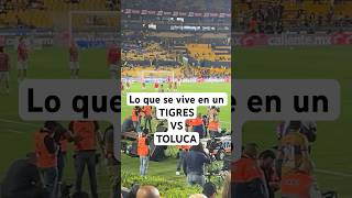 Ya en el estadio tigresvstoluca over40 vlog toluca tigresuanl ligamx [upl. by River]