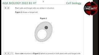 AQA GCSE Biology 2022  Paper 1 Q2 Higher Tier Past paper Questions walk through on Cell Biology [upl. by Adnih]