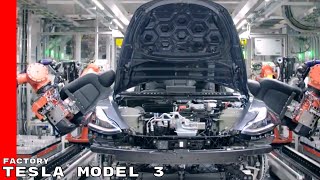 Tesla Model 3 Factory [upl. by Tabbi]