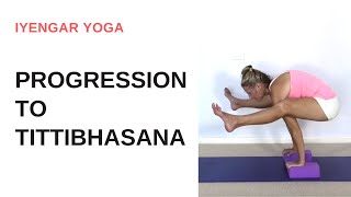 Progression to Tittibhasana  firefly pose  Iyengar Yoga [upl. by Nairdad193]