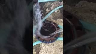 CLEANING OF FILTER TRAP COVERSTEAMviral trending skilledworker shortvideos [upl. by Otinauj]