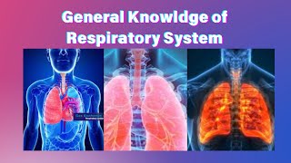 25 respiratory system mcqs with answers  respiratory system mcqs By Global Glean [upl. by Akirahs]