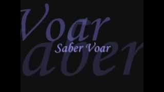 Saber Voar  Chimarruts Letra [upl. by Ker]