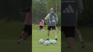 Who let the dogs out 🐶😂 Ludovit Reis und Coach Baumgart beim Training 😅nurderHSV Training [upl. by Kevina734]