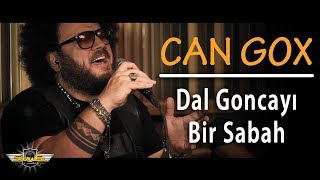 Can Gox  Dal Goncayı Bir Sabah Akustik [upl. by Afaw]