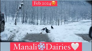 Cinematic ❄️Minni Vlog of Manali🤍  Snowfall  February 2024  Pannubaljinder [upl. by Pearle]