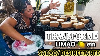 Receitas Sabão de limão e Desinfetante com cascas de limão [upl. by Eeral]