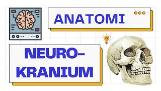 Anatomi Neurokranium Calvaria amp Basis Cranii  Anatomy 101 [upl. by Terrab]