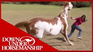 Once Bitten Twice Shy How to Train a Dangerous Dominant Horse [upl. by Talbott]