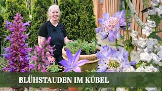 Meine persönlichen Insektenlieblinge  Bienenparadies mit Blühstauden im Kübel [upl. by Eceinert549]