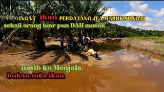 MENJALA IKAN DIKAMPUNG [upl. by Vander]