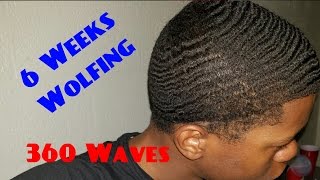 360 Waves 6 Weeks Wolfing [upl. by Dom703]