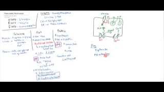 Pancreatic Hormones Insulin Glucagon Somatostatin [upl. by Kucik]