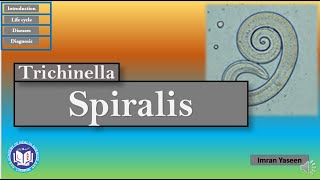 Trichinella spiralis a ratpig worm facing dead end host  Parasitology  by Imran Yaseen [upl. by Latrena144]