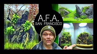 The First Aquascape Focused Store The USA Nano Tanks Aqua Forest Aquarium  San Francisco [upl. by Riggs716]