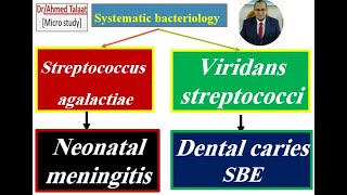 Streptococci 7 Streptococcus agalactia and viridans streptococci “Medical microbiology [upl. by Isolde]