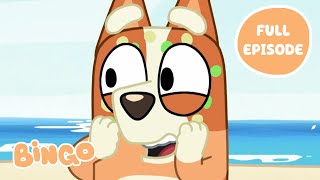 Bingo at the Beach 🏝️🧡  The Beach  Bluey Full Episode  Bingo  Official Channel [upl. by Sarajane423]