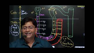 counter current mechanism by md sir human excratery system [upl. by Eecyal]